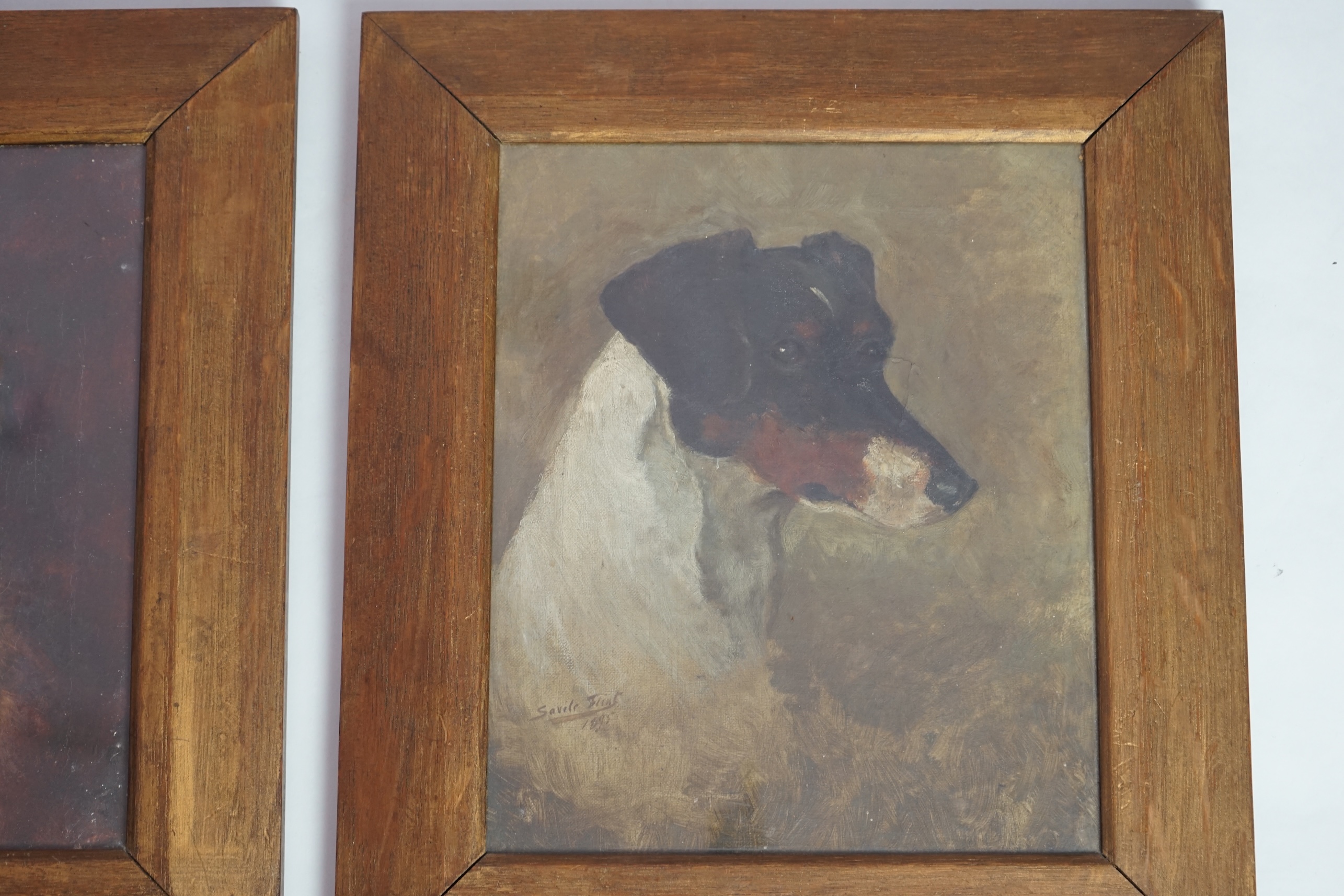 Savile Lumbley Flint (fl.1880-95), Study of a fox terrier and a rough coated terrier, oils on canvas, 30 x 25cm